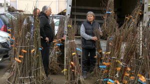 02042025_podela_sadnica