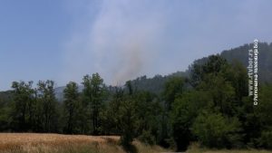 03072025_POZAR