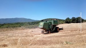 03072025_ZETVA