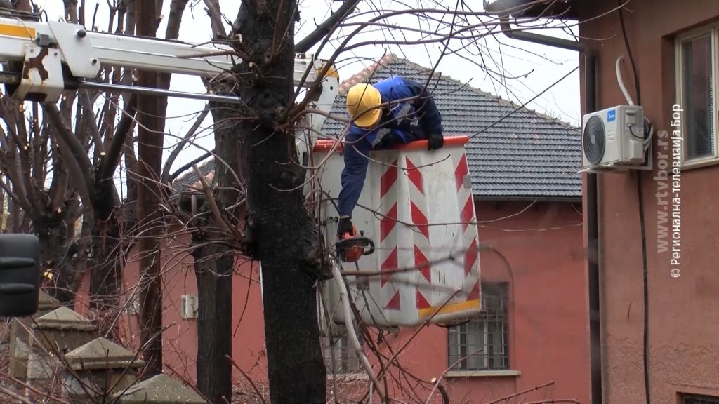 10112025_uredjivanje_zelenila