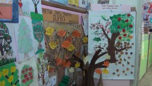 22012026_projekat_drvo_mpek