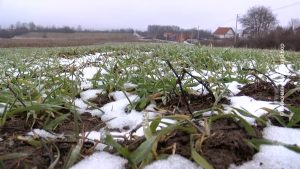 07022026_poljoprivreda
