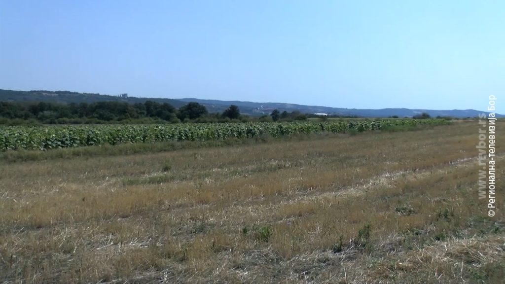 2522026poljoprivreda