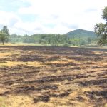 MUP apeluje na građane: Ne palite vatru na otvorenom, požari mogu imati nesagledive posledice