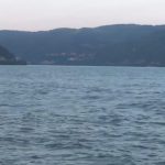 Dunav spojio posetioce i prirodu u Donjem Milanovcu