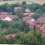 Afrička kuga svinja ponovo preti stočnom fondu
