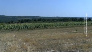 2372026_susa_i_poljoprivreda