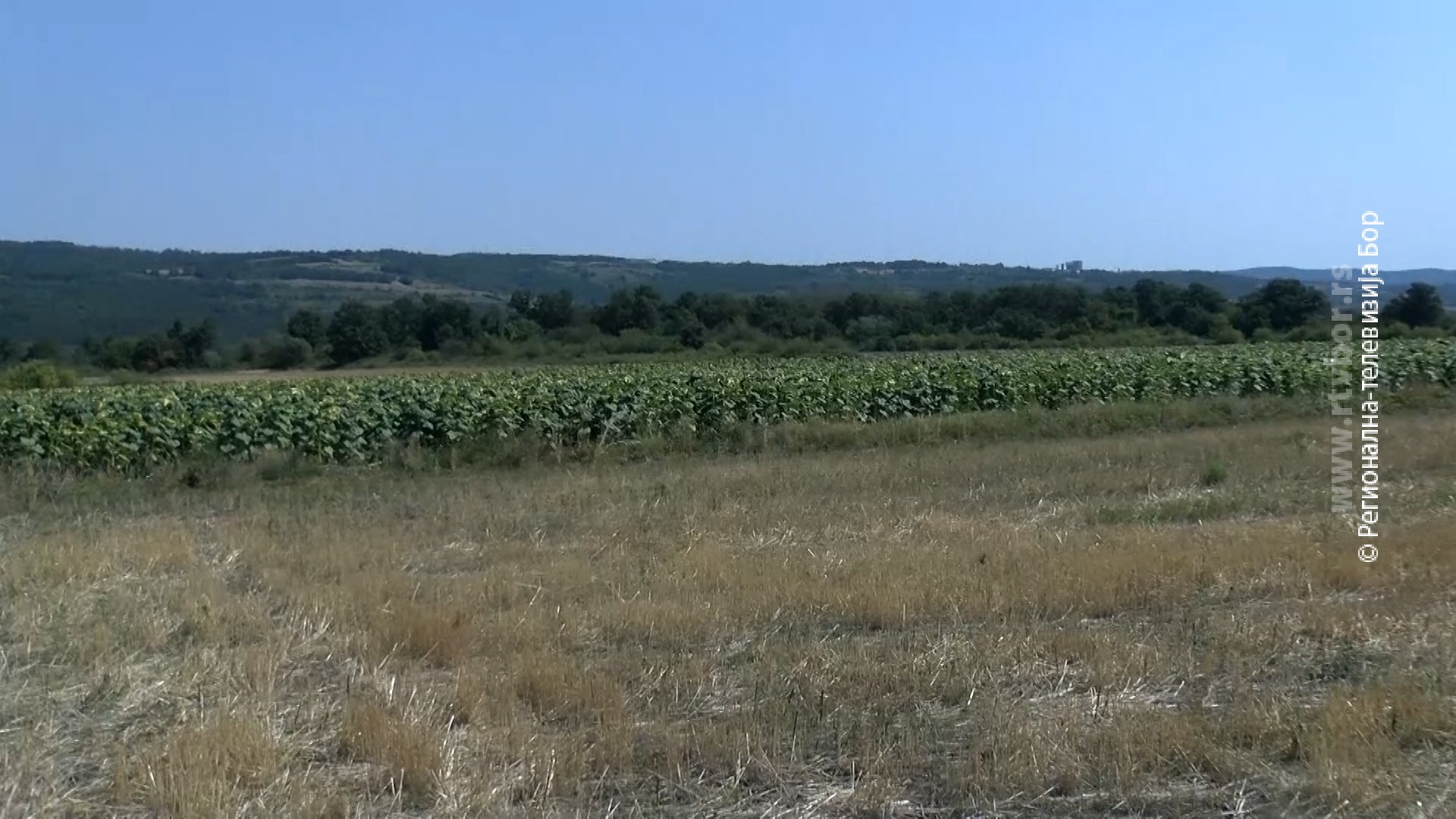2372026_susa_i_poljoprivreda